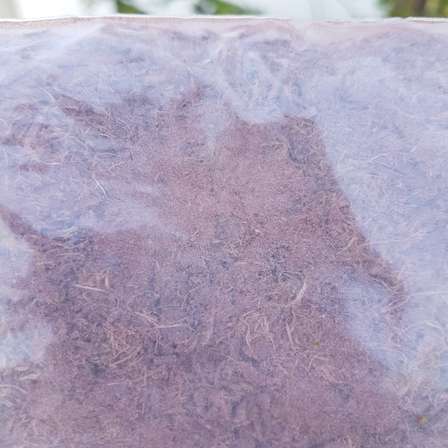 hostilis 250g